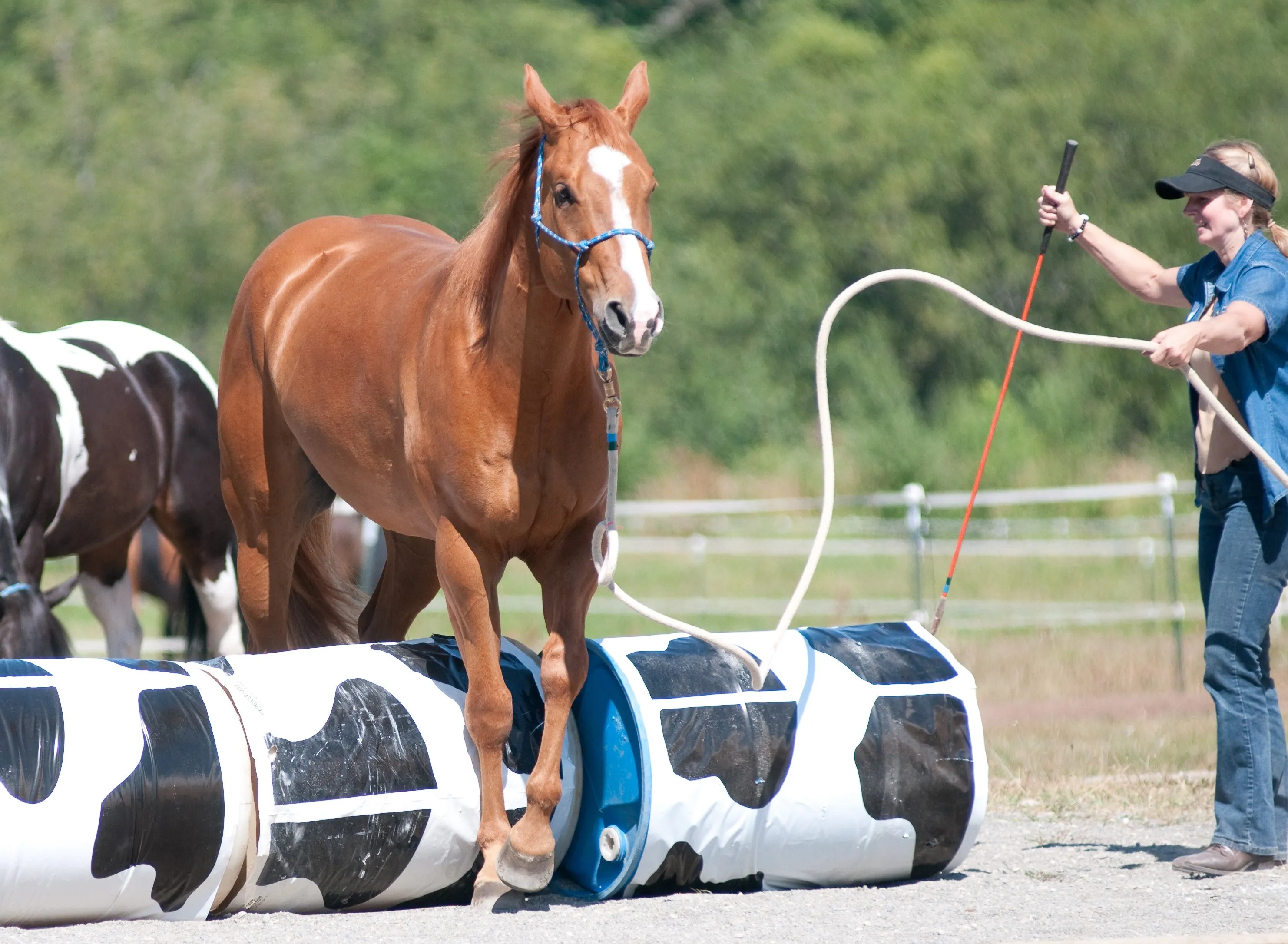 Cow-Spot Barrel Covers