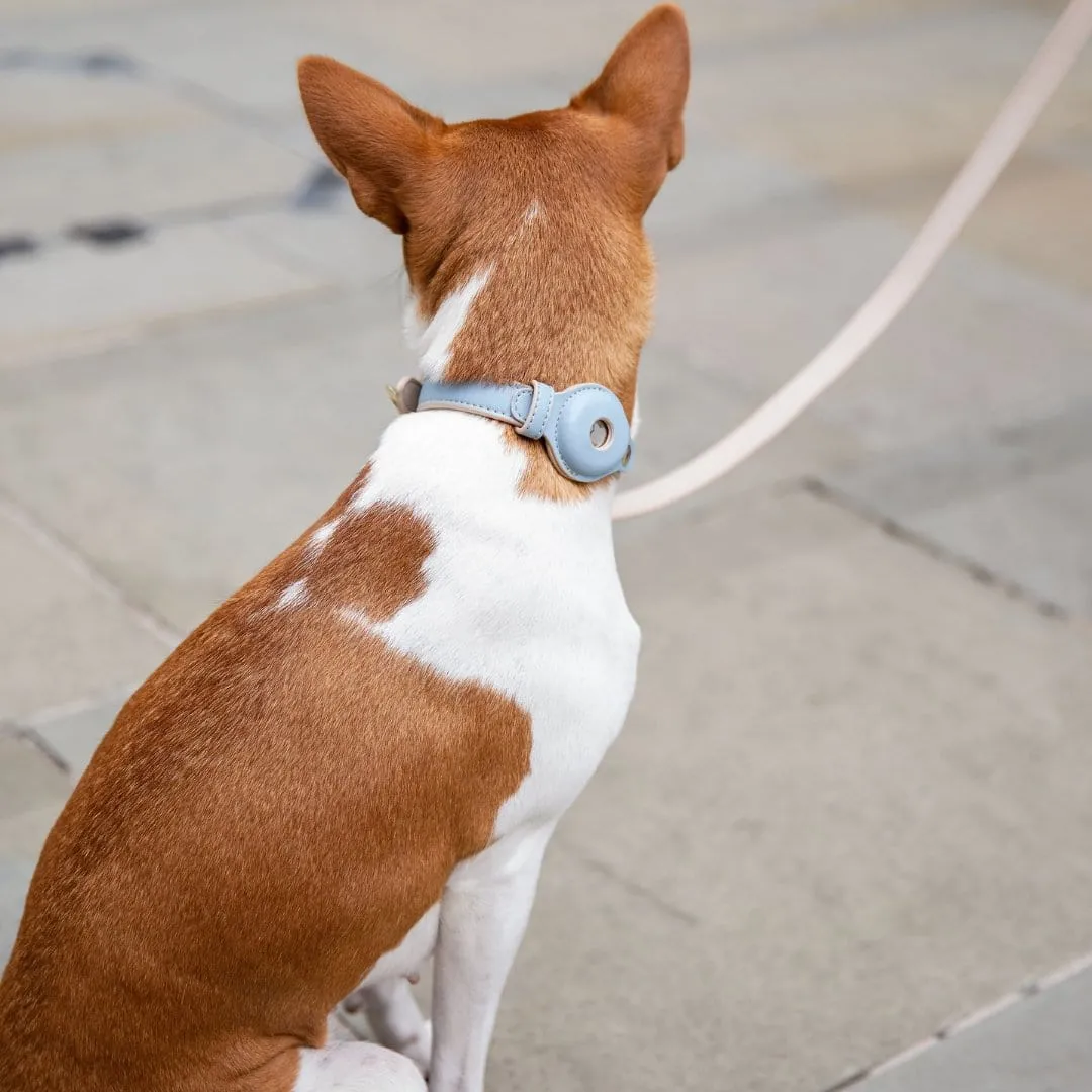 Cupertino Air Tag Enabled Vegan Leather Dog Collar | Multiple Colours