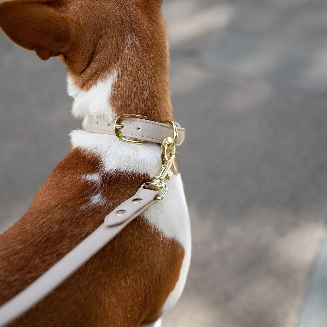 Cupertino Air Tag Enabled Vegan Leather Dog Collar | Multiple Colours