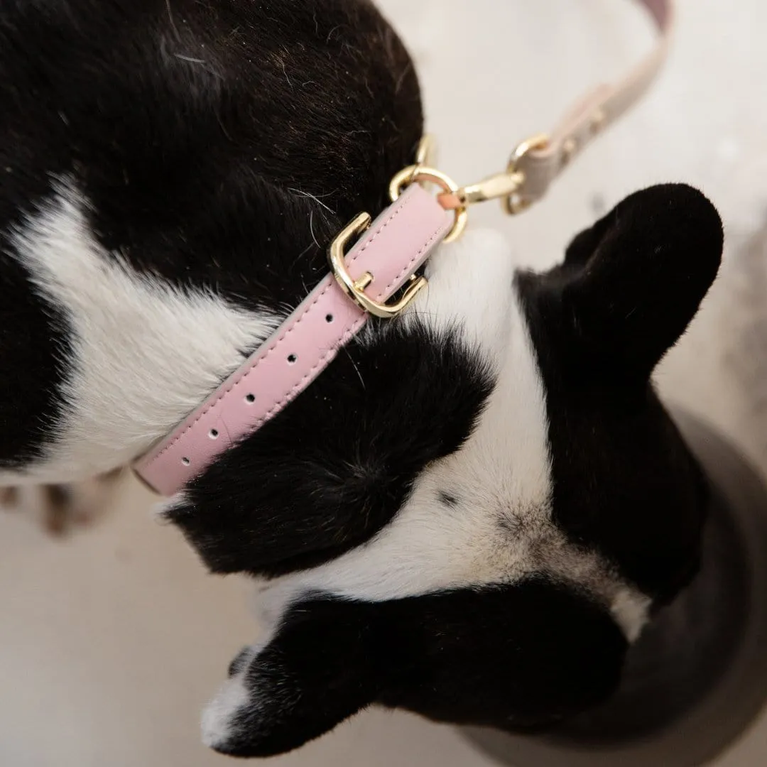 Cupertino Air Tag Enabled Vegan Leather Dog Collar | Multiple Colours