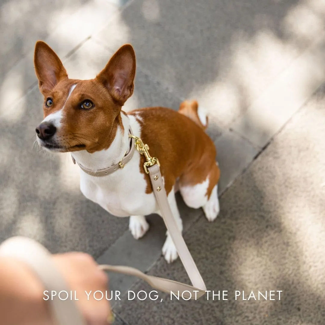 Cupertino Air Tag Enabled Vegan Leather Dog Collar | Multiple Colours