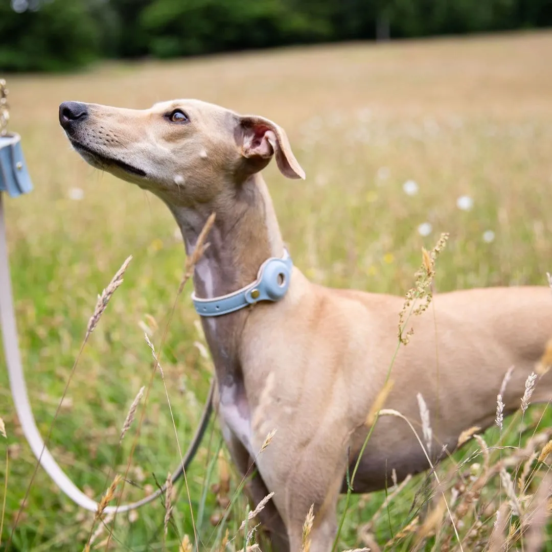 Cupertino Air Tag Enabled Vegan Leather Dog Collar | Multiple Colours