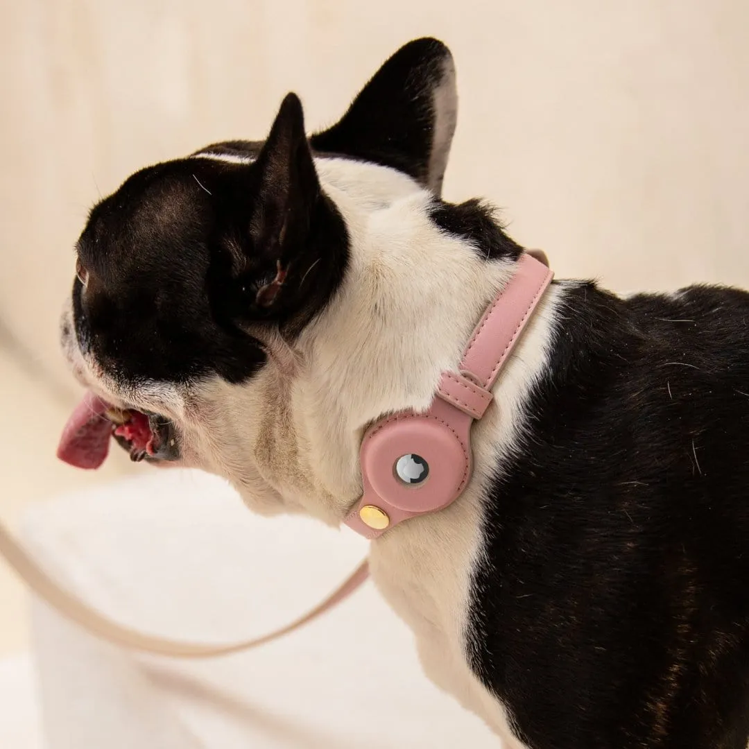 Cupertino Air Tag Enabled Vegan Leather Dog Collar | Multiple Colours