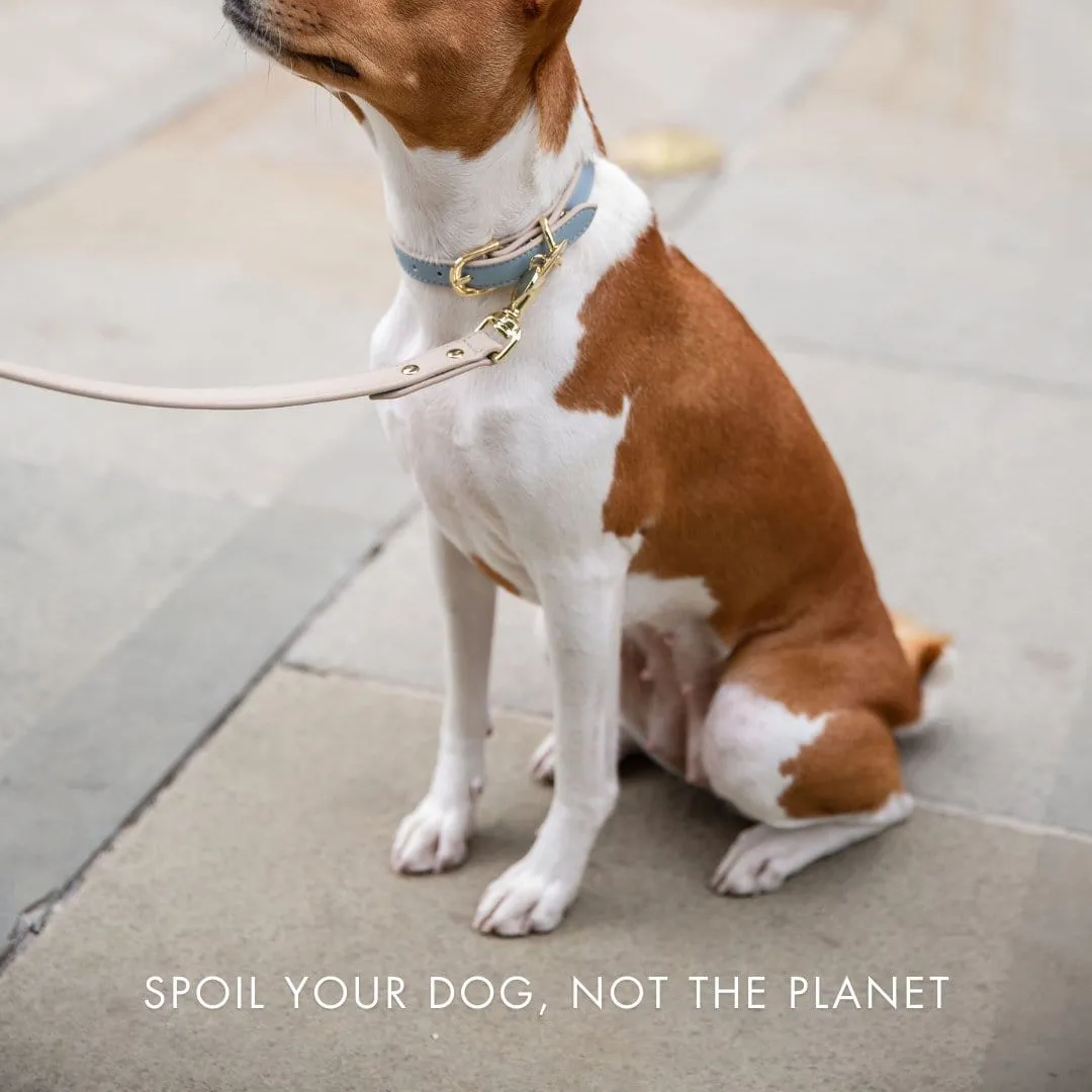 Cupertino Air Tag Enabled Vegan Leather Dog Collar | Multiple Colours