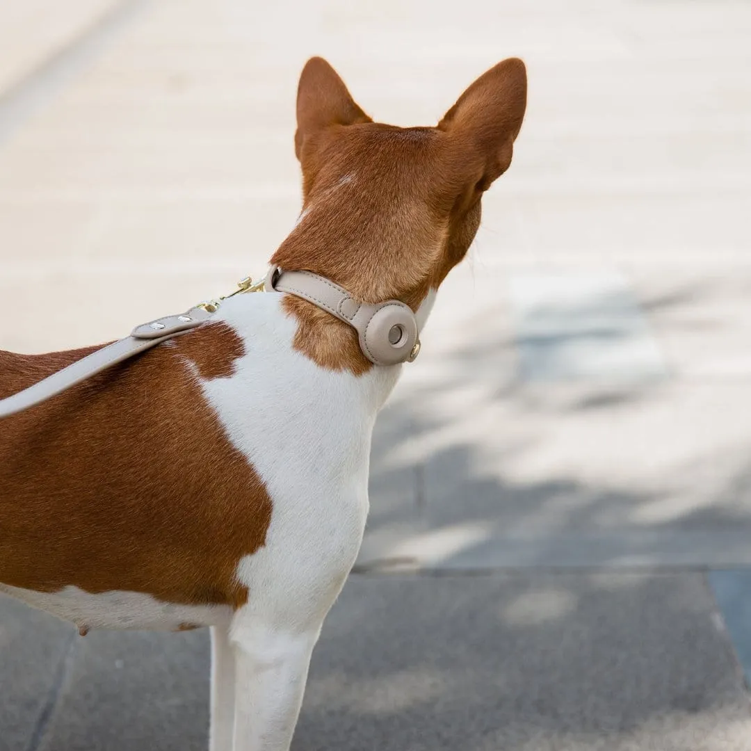 Cupertino Air Tag Enabled Vegan Leather Dog Collar | Multiple Colours