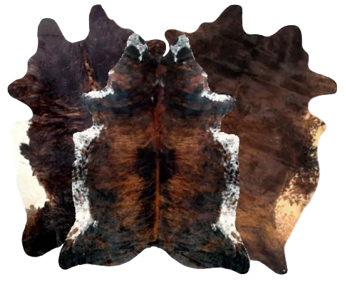 Dark Exotic White Belly Premium Brazilian Hide, XL CH02N SD
