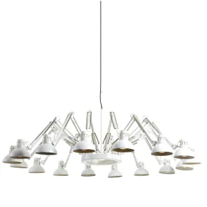 Dear Ingo - Suspension Lamp