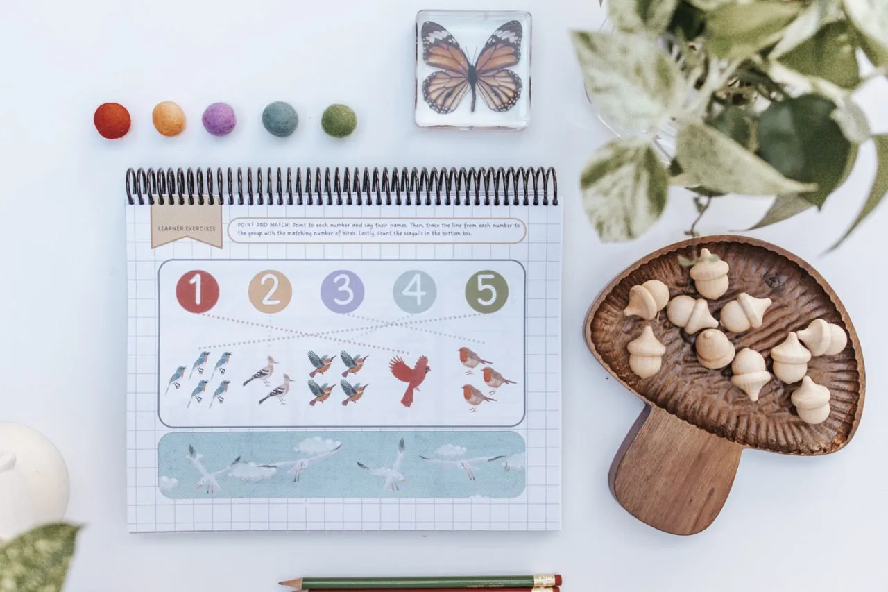 DIGITAL Little Sprouts (PreK) Mathematics