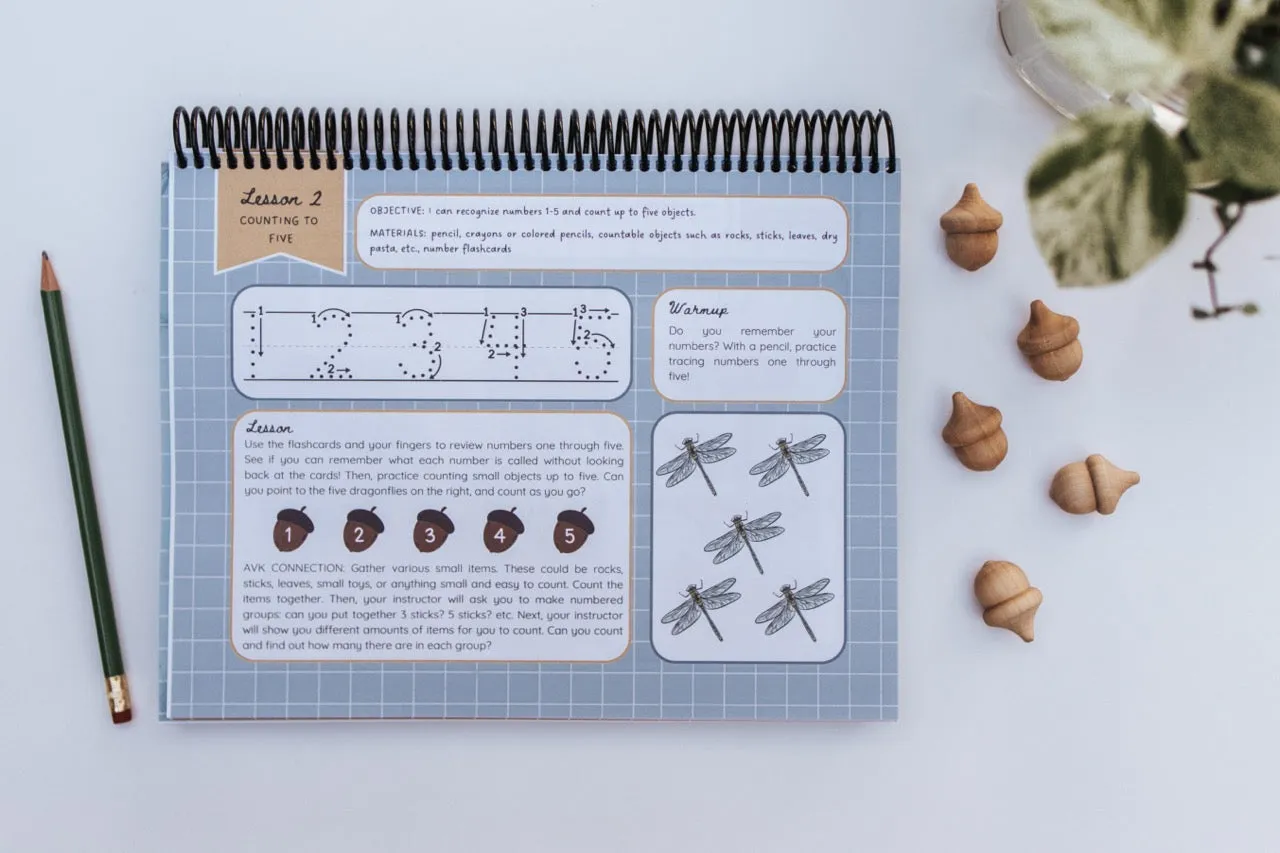 DIGITAL Little Sprouts (PreK) Mathematics