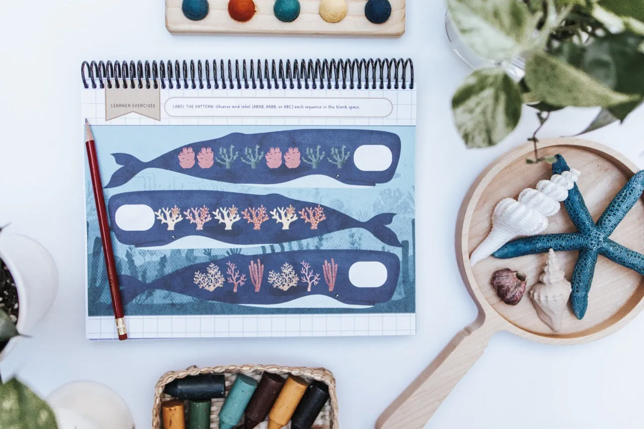 DIGITAL Little Sprouts (PreK) Mathematics