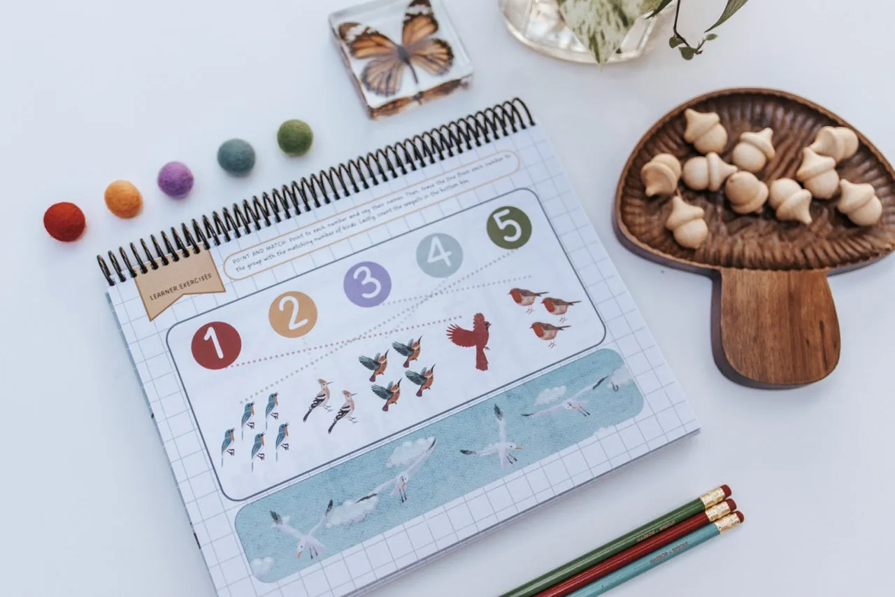 DIGITAL Little Sprouts (PreK) Mathematics