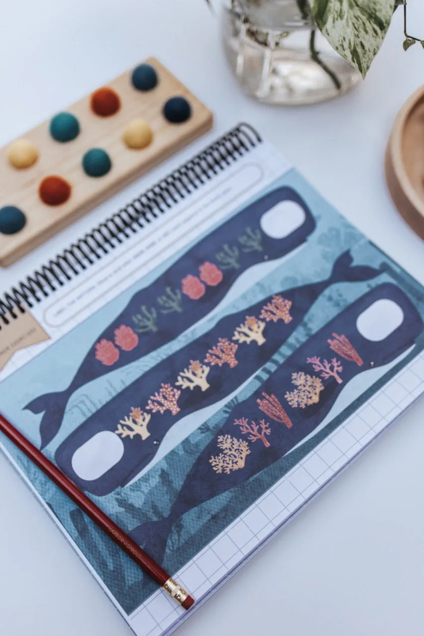 DIGITAL Little Sprouts (PreK) Mathematics