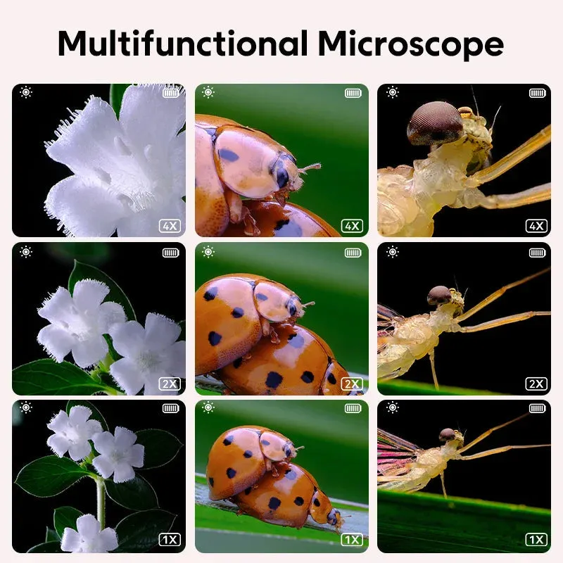 Discovery Microscope - Science Up Close