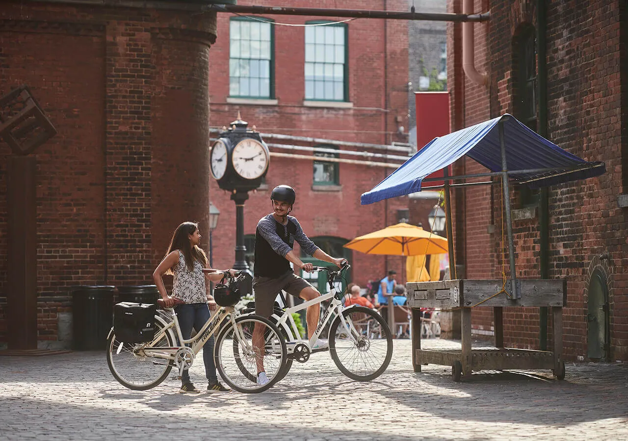 Dobson - Women's Electric Bike, 700C