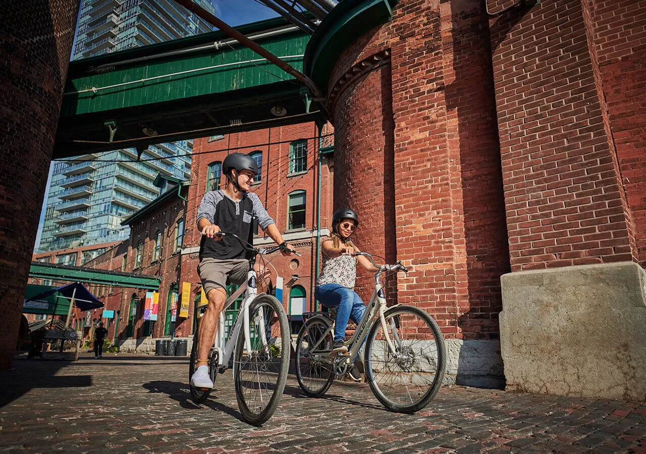 Dobson - Women's Electric Bike, 700C