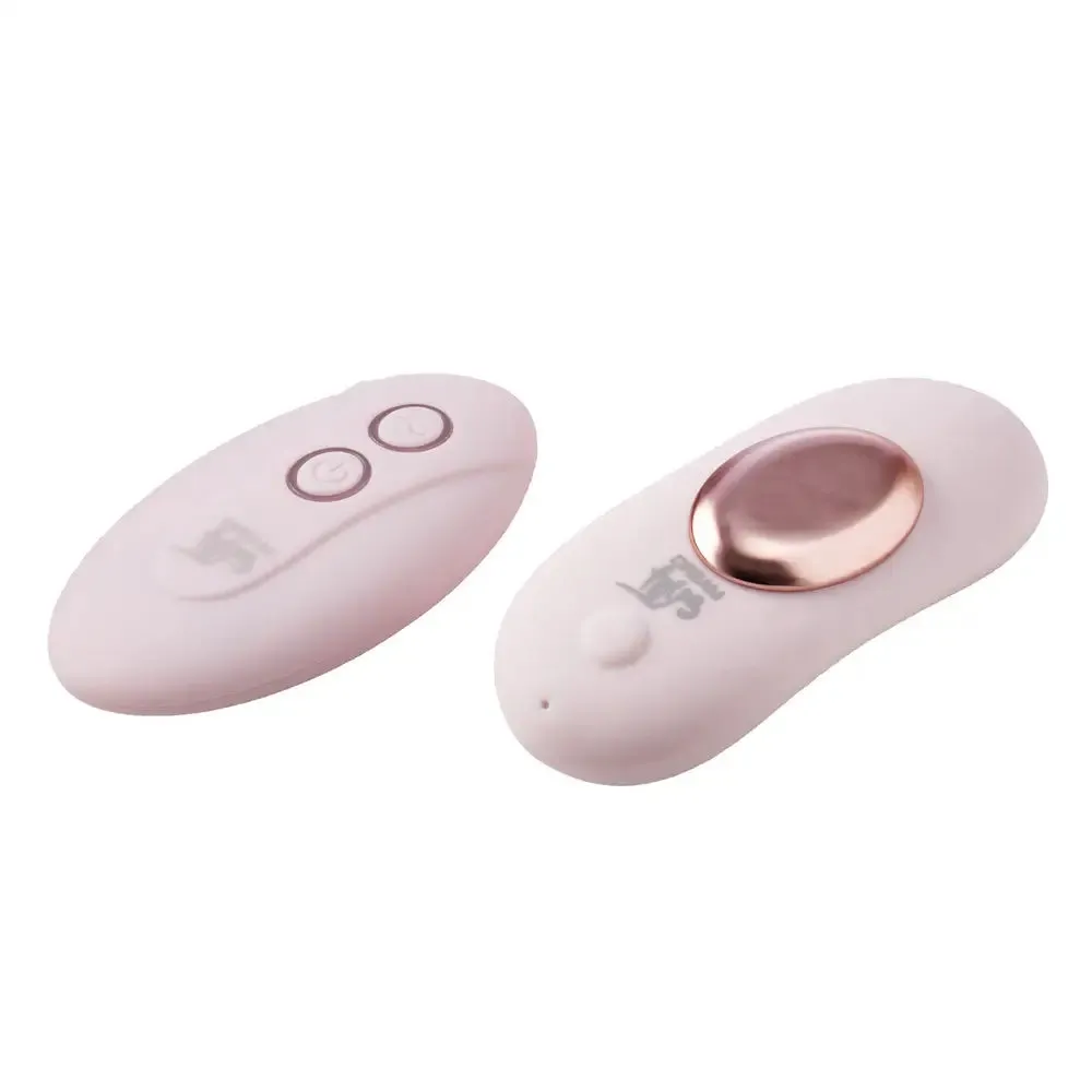 Dream Toys Silicone Pink Rechargeable Mini Vibrator with Remote