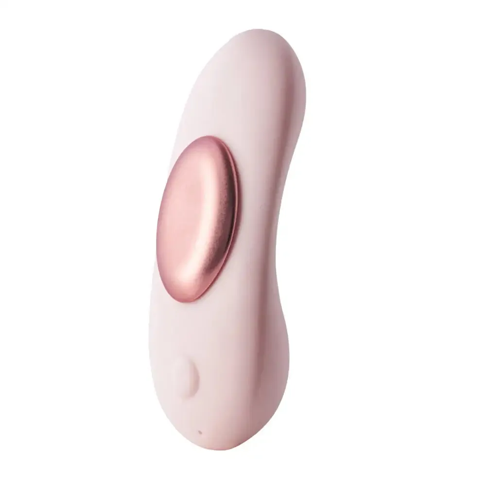 Dream Toys Silicone Pink Rechargeable Mini Vibrator with Remote