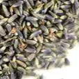 Dried Lavender by the 1/2 Ounce