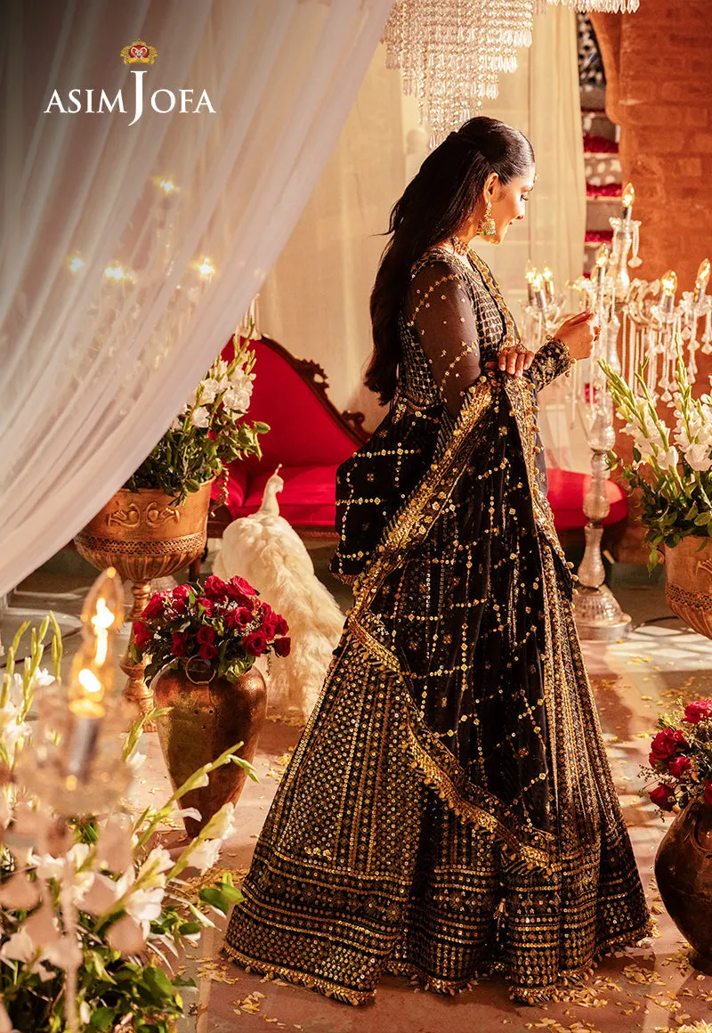 Elegant Black and Golden Luxury Embroidered Pakistani Party Wear Pishwas