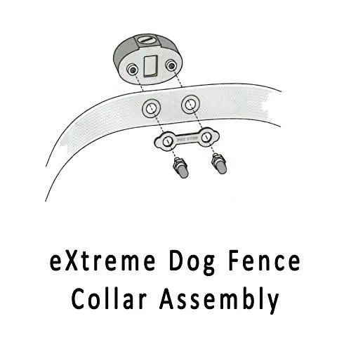 eXtreme Dog Fence® MAX Grade Ultimate Performance System