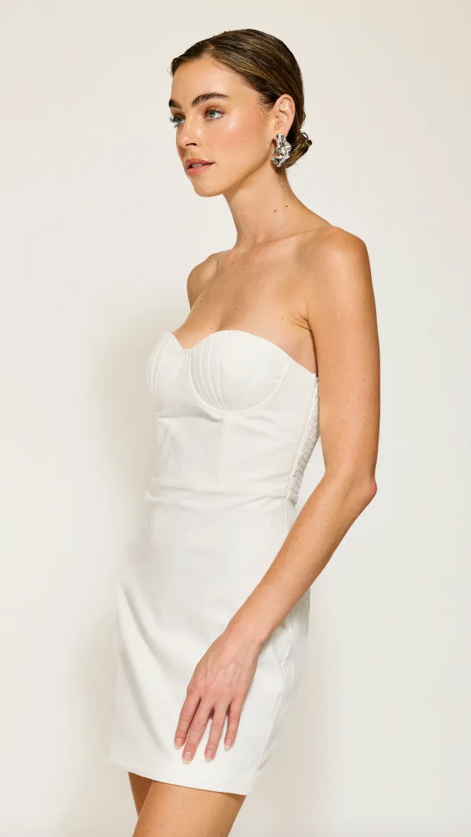 FABLE MINI DRESS