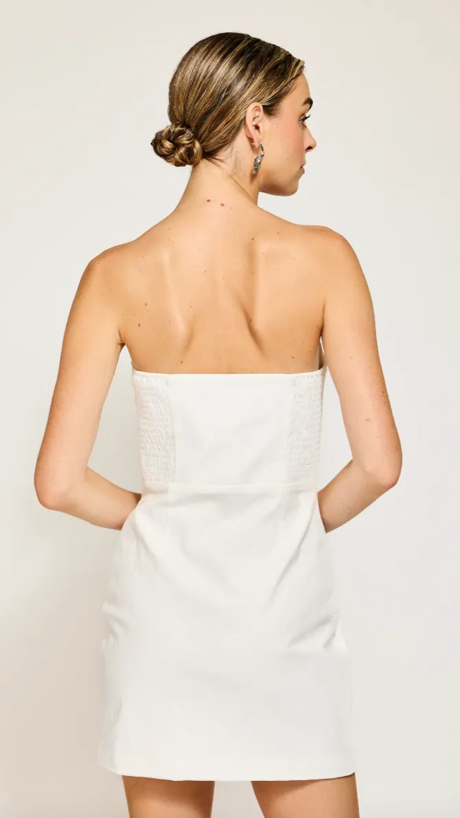 FABLE MINI DRESS