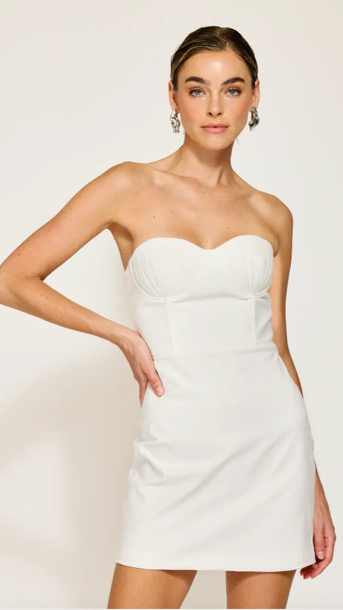 FABLE MINI DRESS