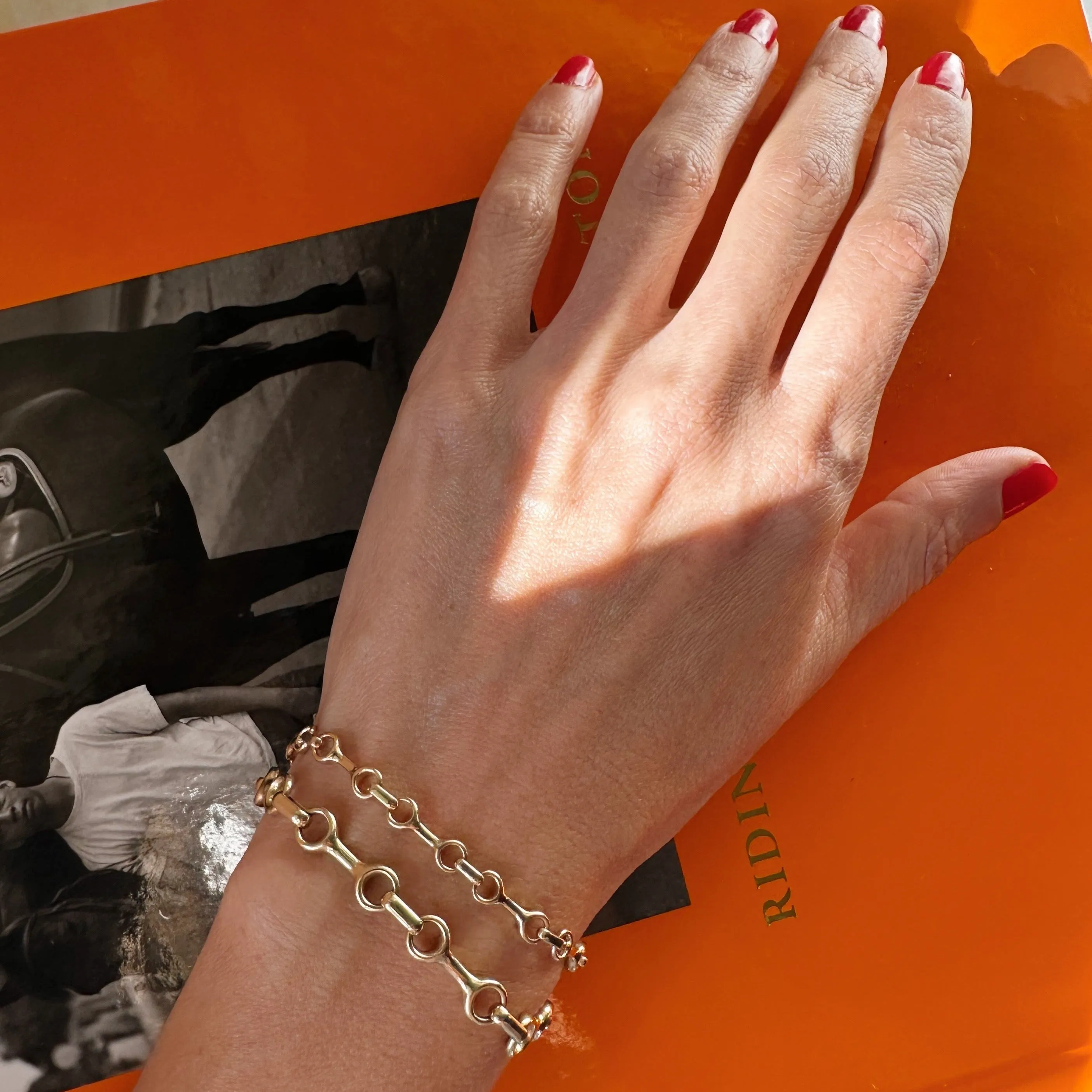 Fine Double Beam Chain Bracelet with Tusk Clasp