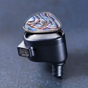FiR Audio Electron 12 IEM