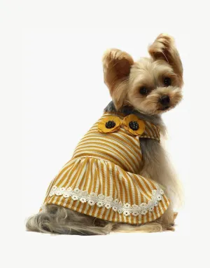 Fitwarm Flowers Dress For Dog