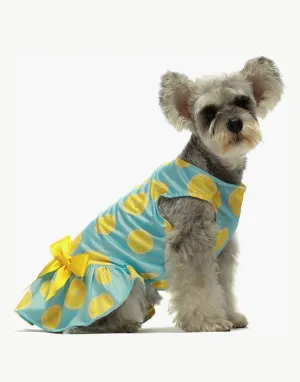 Fitwarm Lemon Dress