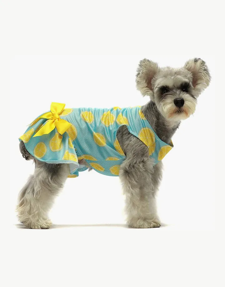 Fitwarm Lemon Dress