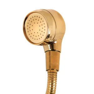 Gabbiano Hairdressing Wash Unit Handset Gold Large