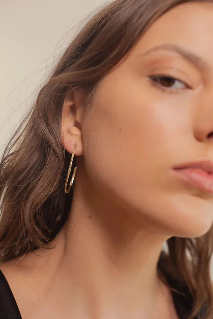 Gold & Diamond Hoops