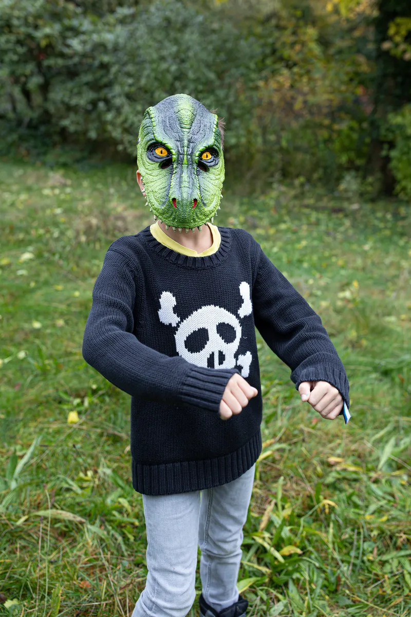 Great Pretenders T-Rex Dino Mask, Green