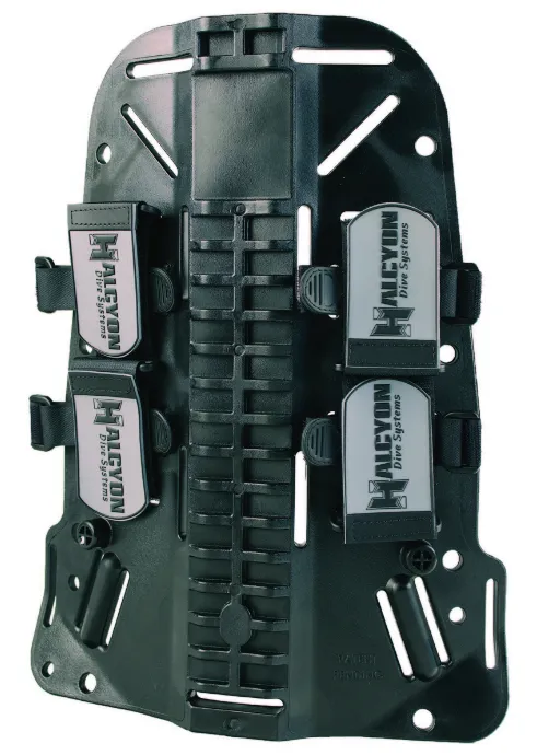 Halcyon Traveler BC System