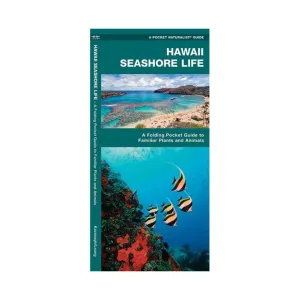 Hawaii Seashore Life
