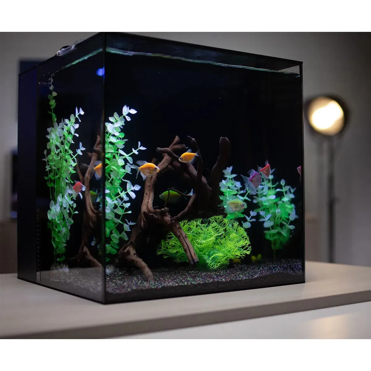 HelloReef GloFish Aquarium Kit