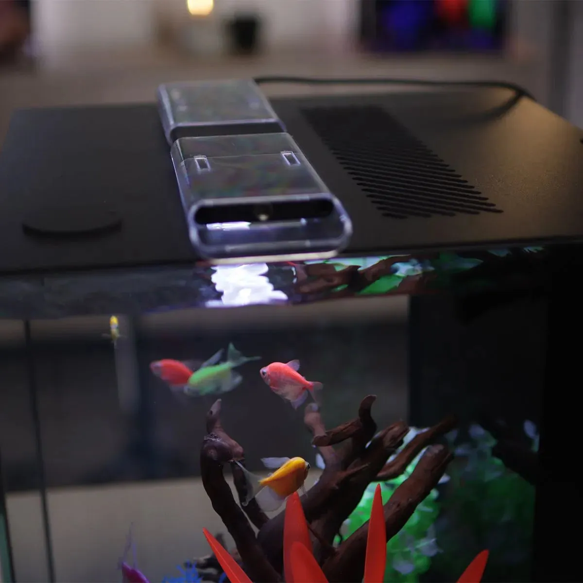 HelloReef GloFish Aquarium Kit