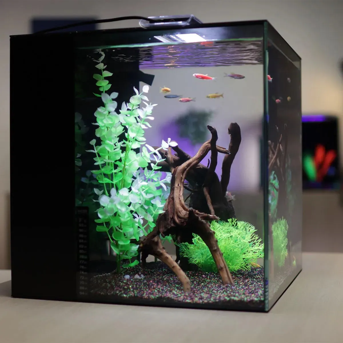 HelloReef GloFish Aquarium Kit