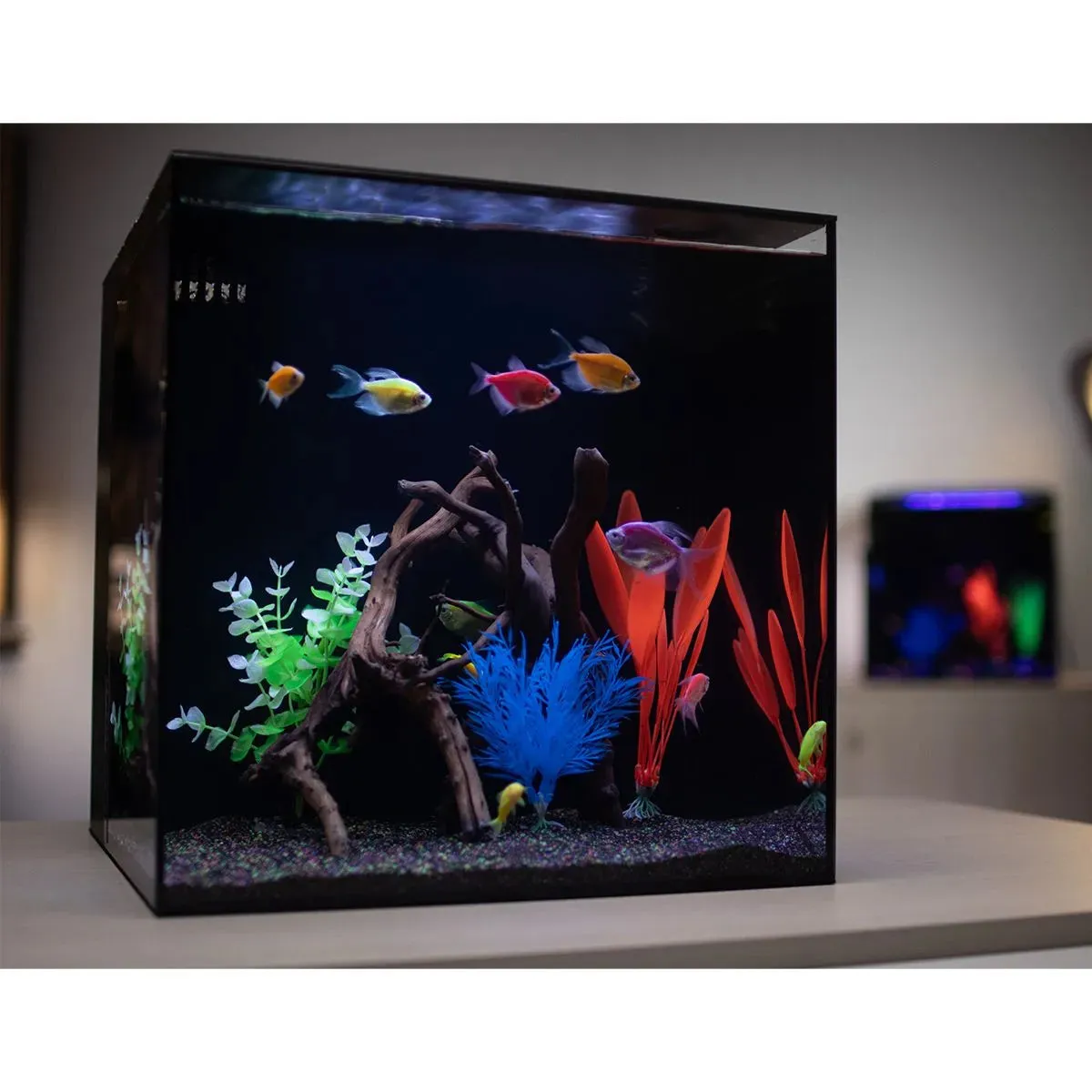 HelloReef GloFish Aquarium Kit