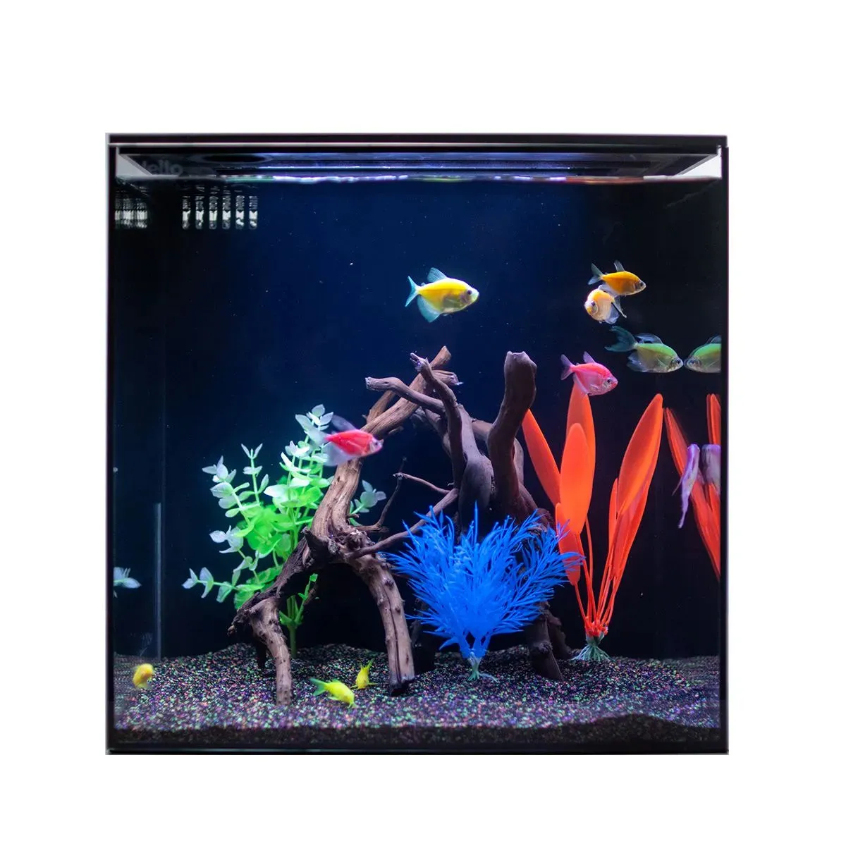 HelloReef GloFish Aquarium Kit