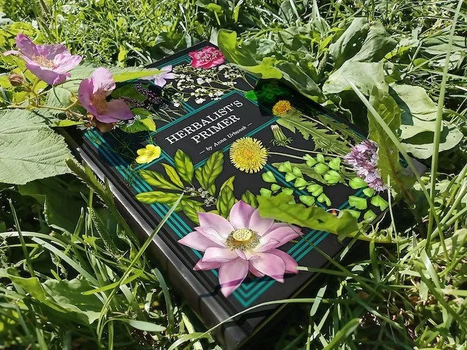 Herbalist's Primer Bundle