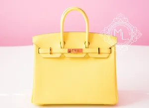 Hermes Pre-owned Hermes Soufre Epsom Gold Hardware Birkin 25 Handbag
