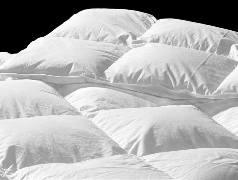 Hungarian Duvet Inner Goose Down