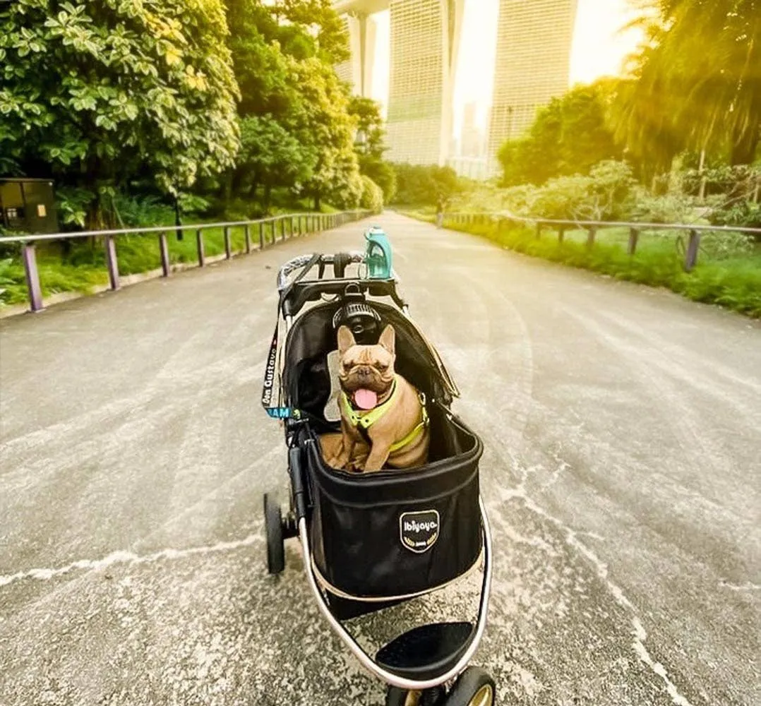 Ibiyaya - Monarch Premium Pet Jogger, Designer-Luxury Dog Stroller