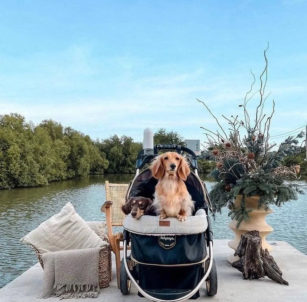 Ibiyaya - Monarch Premium Pet Jogger, Designer-Luxury Dog Stroller