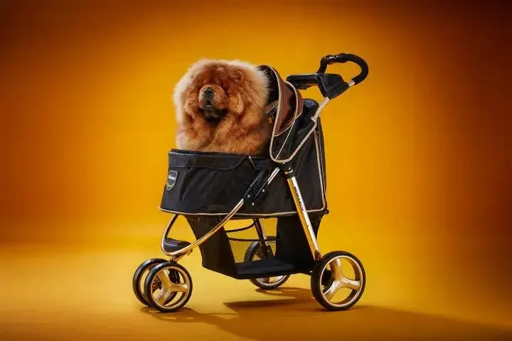 Ibiyaya - Monarch Premium Pet Jogger, Designer-Luxury Dog Stroller