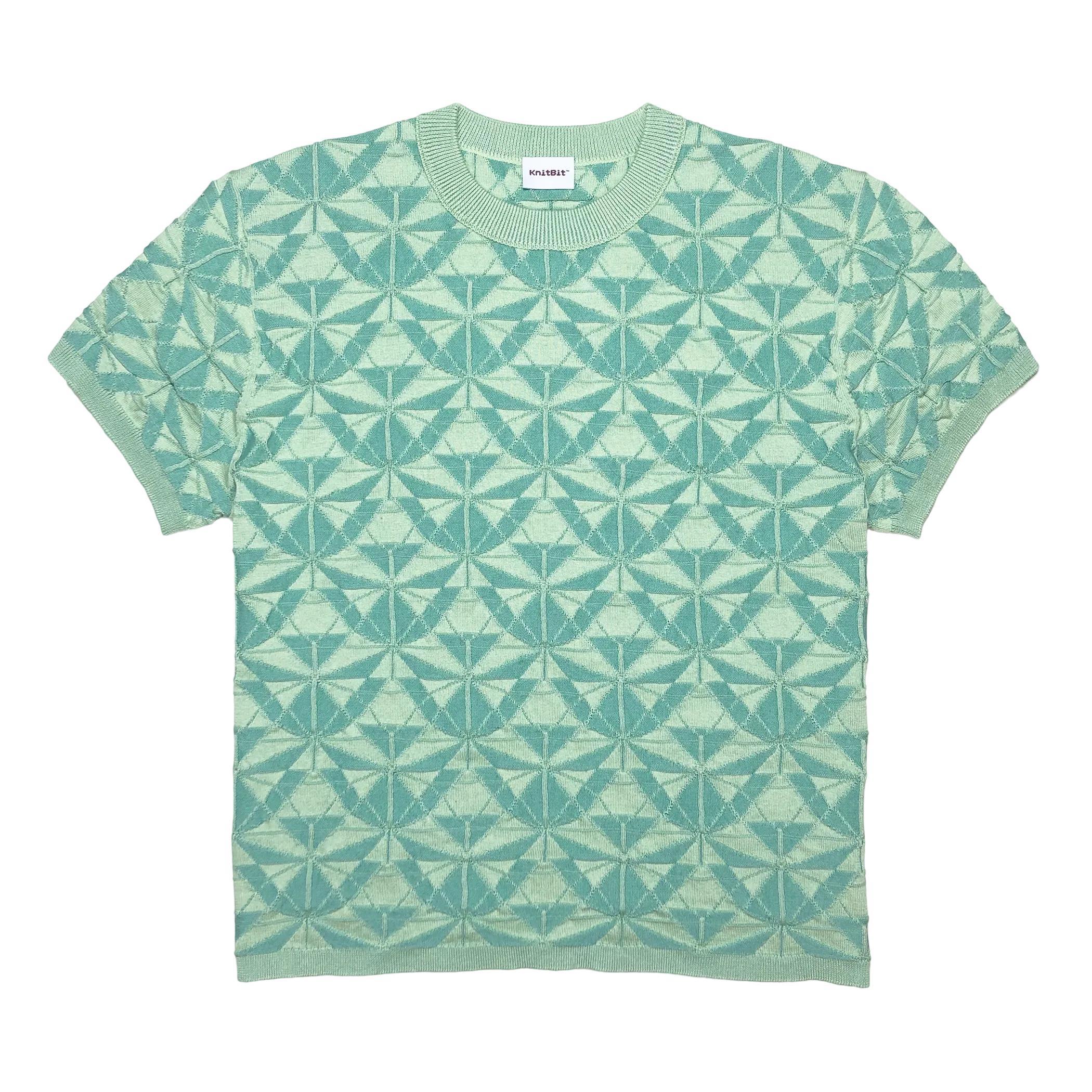 ICOSA CREW NECK TEE IN AQUA LIME
