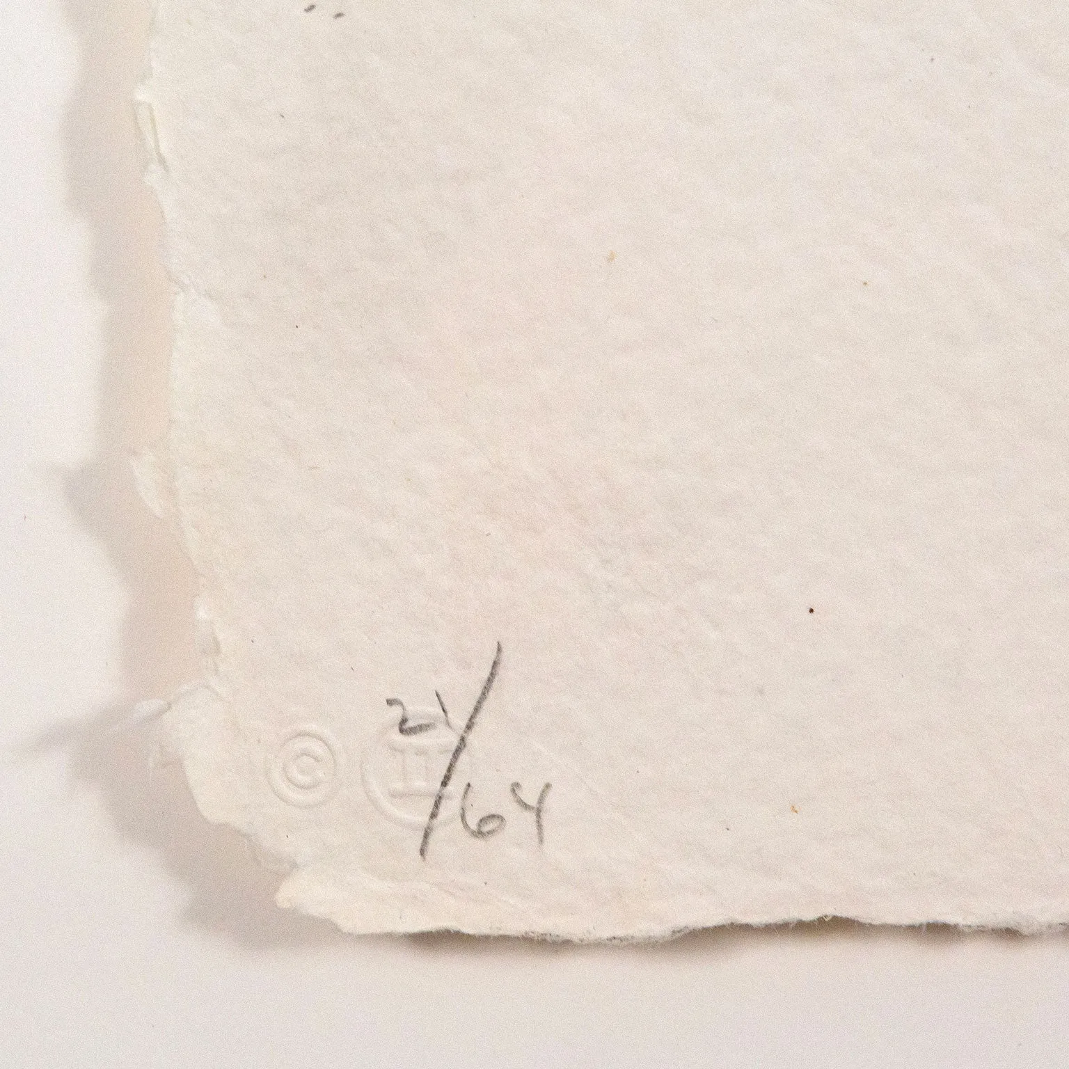 JASPER JOHNS "EVIAN" LITHOGRAPH, 1972